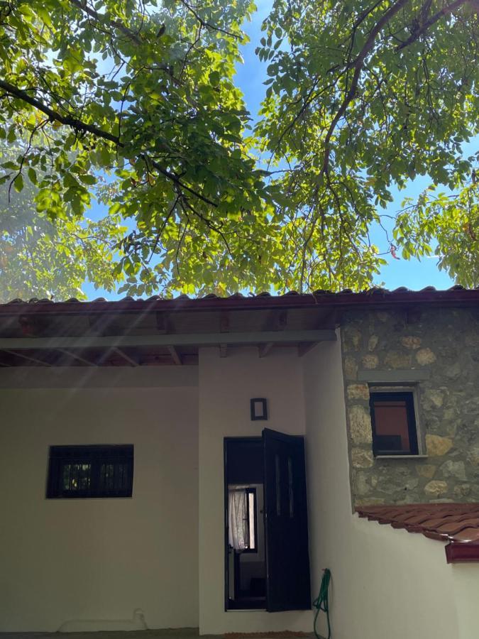 Stymfalia Cozy Village Guesthouse Karteri  Экстерьер фото
